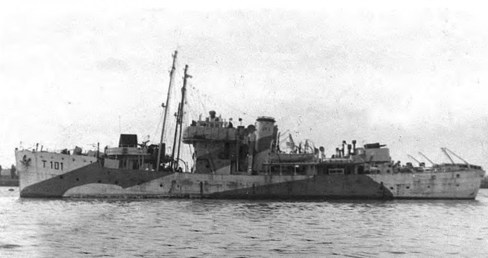 HMT Pine.jpg