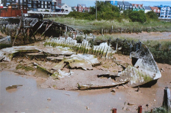 blue coral may 2009 littlehampton.JPG